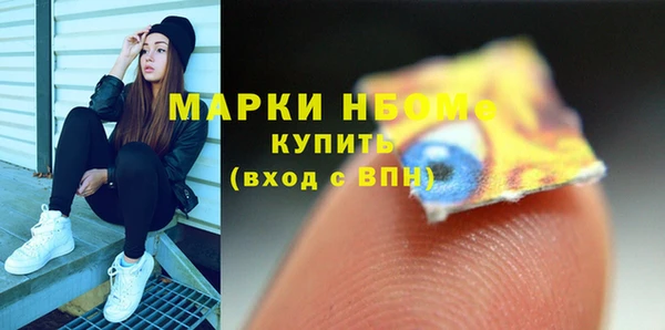 прущие грибы Михайлов