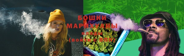 прущие грибы Михайлов