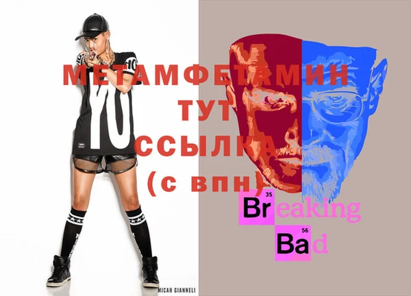 прущие грибы Михайлов