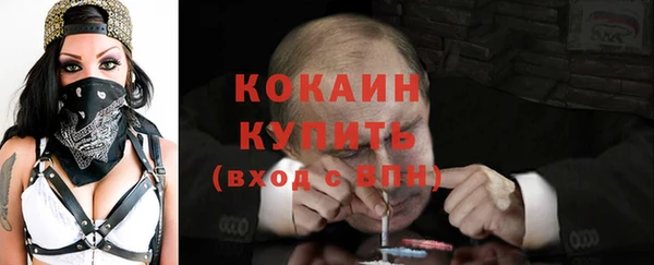 прущие грибы Михайлов