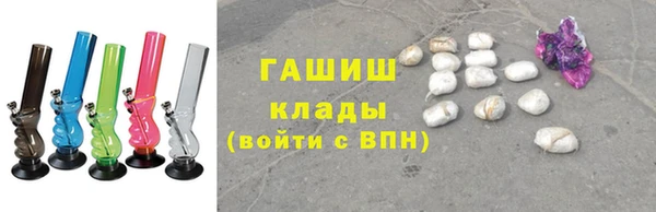 прущие грибы Михайлов