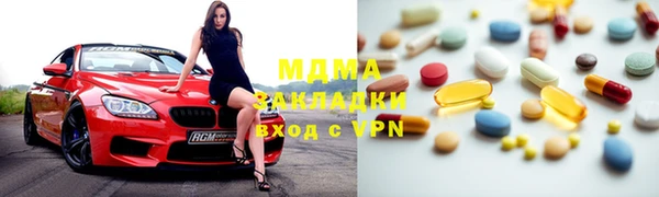 прущие грибы Михайлов