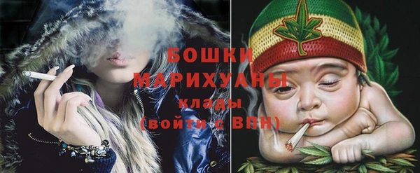 прущие грибы Михайлов