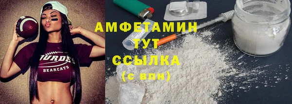 прущие грибы Михайлов