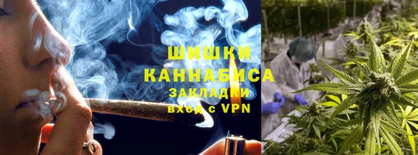 прущие грибы Михайлов