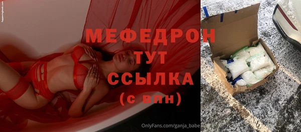 прущие грибы Михайлов