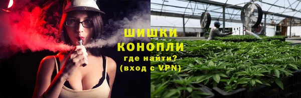прущие грибы Михайлов